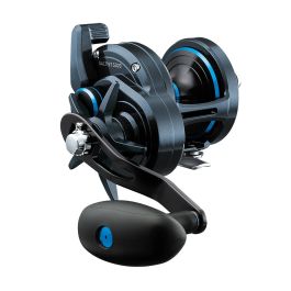 daiwa saltist 30h 2018 Daiwa SLTSD30 Saltist SD Star Drag Conventional Reel