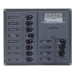Bep Ac Circuit Breaker Panel WAnalog Meters, 8sp 2dp Ac120v Stainless Steel Vertical-small image