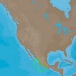 C-MAP 4D NA-D949 Acapulco, MX to Mazatlan, MX - Mapping & Cartography-small image