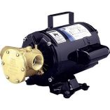 Jabsco Utility Pump WOpen Drip Proof Motor 115v-small image