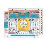 Davis Quick Reference International Navigation Rules Card-small image