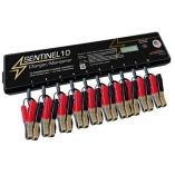 Dual Pro Sentinel 10 ChargerMaintainer-small image