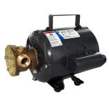 Jabsco Bronze Ac Motor Pump Unit 115v-small image
