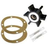 Raritan G13 Impeller WTeflon Washers Pump Gaskets-small image