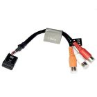 Fusion Wire Harness Zone 3 FMsRa670 Stereo E PortRca-small image