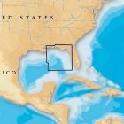 Navionics Platinum East Gulf Of Mexico MicrosdSd-small image