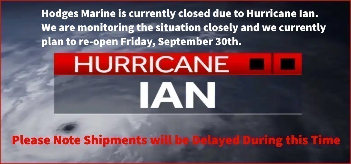 hurricane ian closure